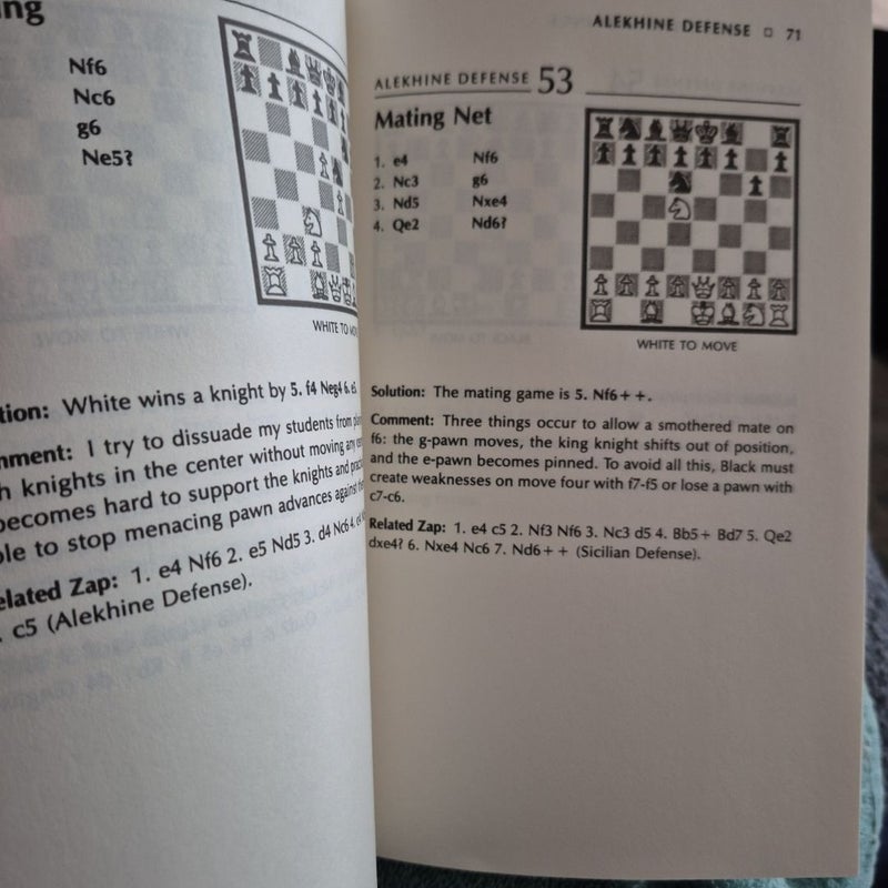 More Chess Openings