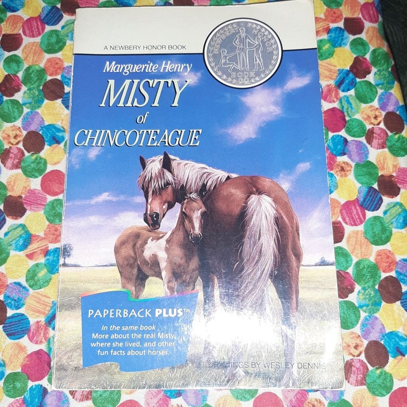 Misty of Chincoteague