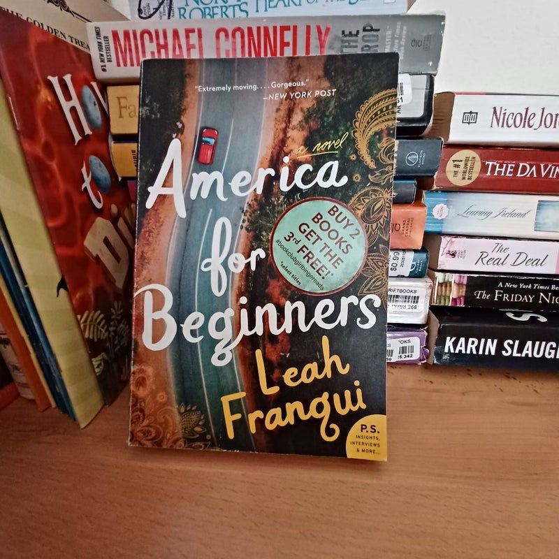 America for Beginners
