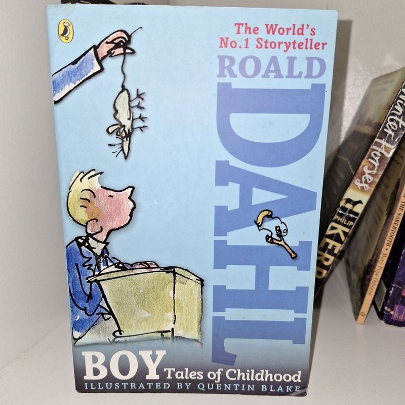 Boy Tales of Childhood 