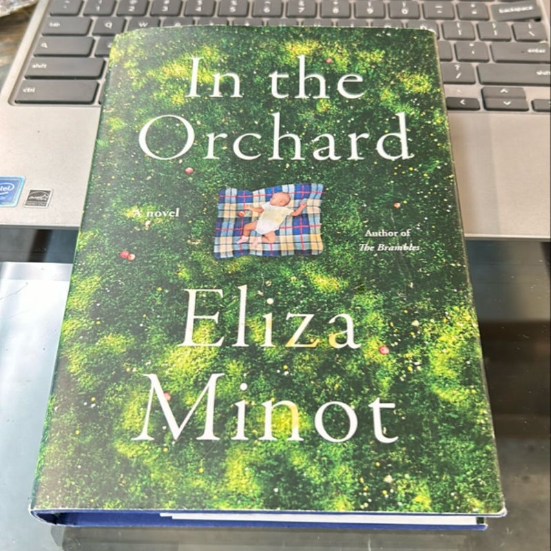In the Orchard 2023
