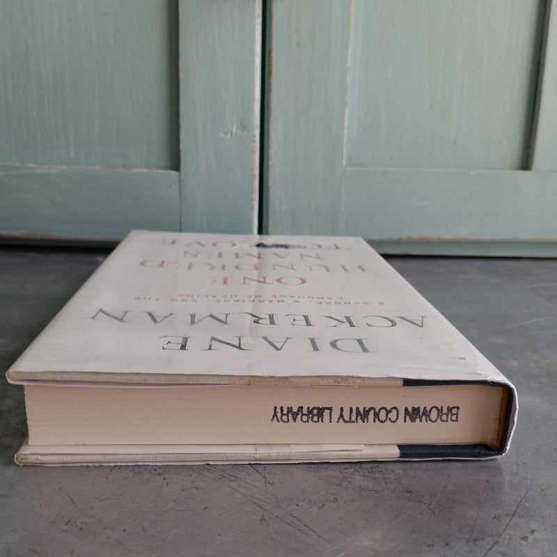 One Hundred Names for Love