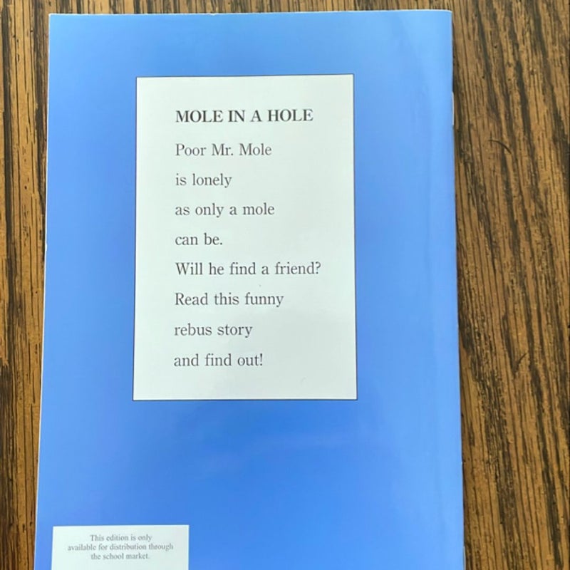 Classroom set of:Mole in a Hole