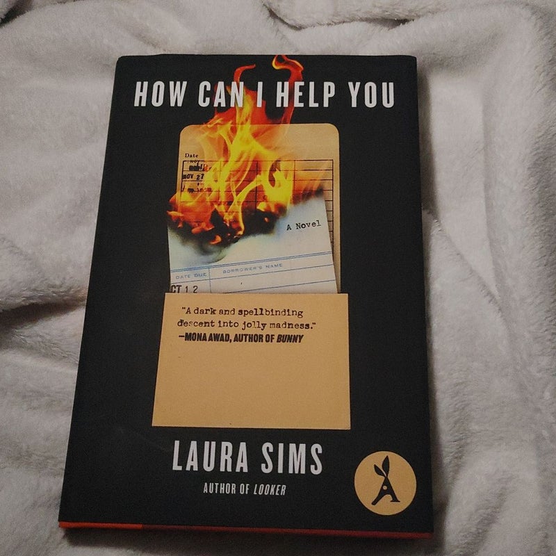 How Can I Help You (Aardvark book clud edition)