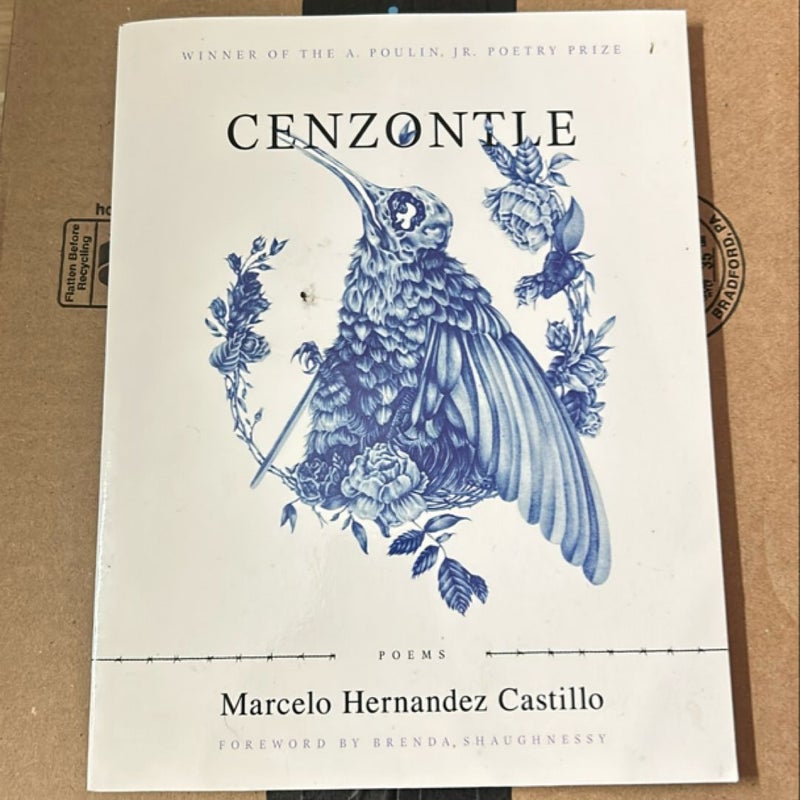 Cenzontle