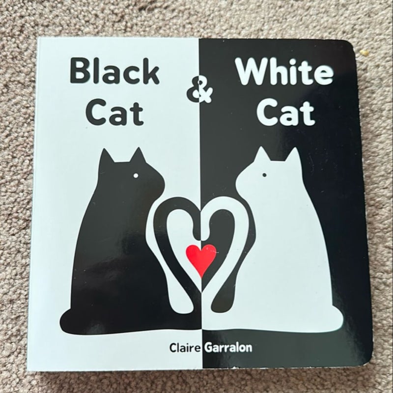 Black Cat and White Cat