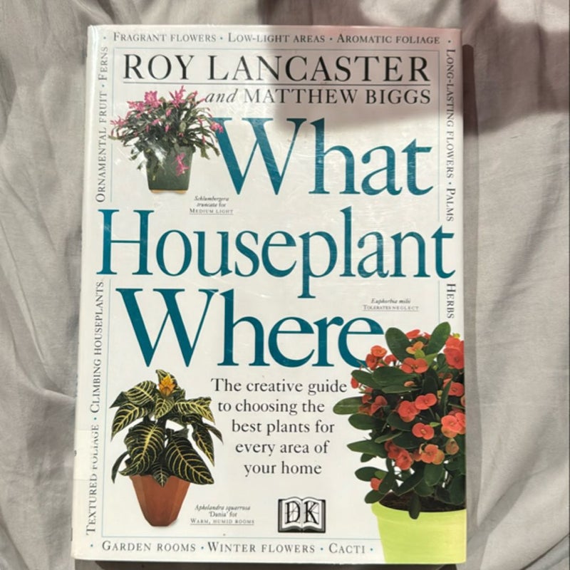 What Houseplant Where