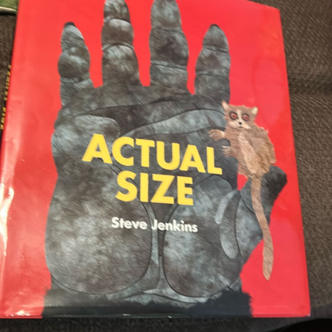 Actual Size
