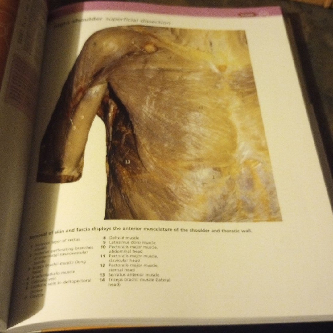 McMinn And Abrahams' Clinical Atlas Of Human Anatomy By Peter H ...