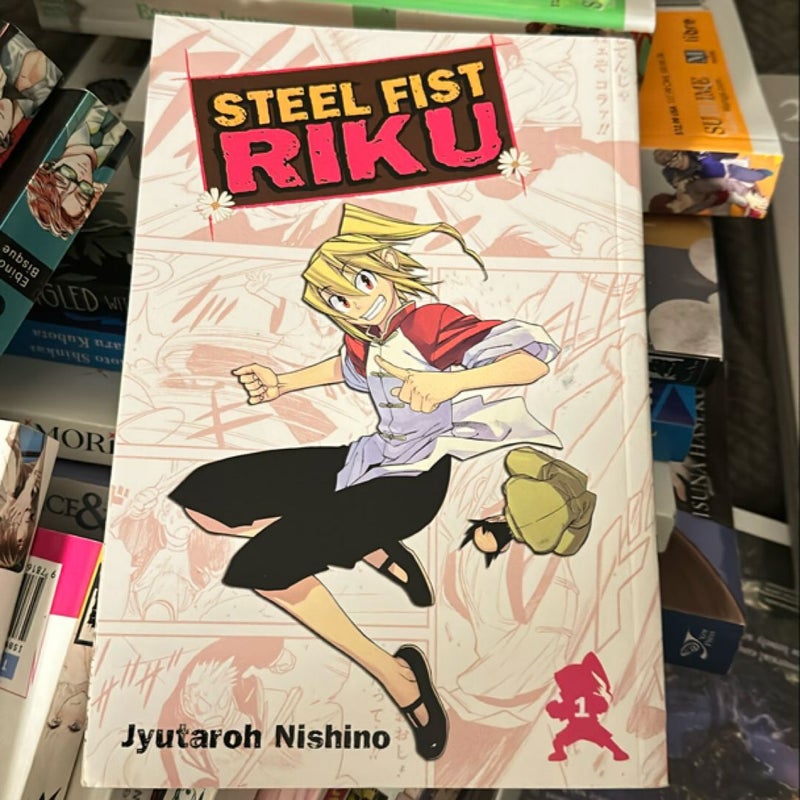 Steel Fist Riku