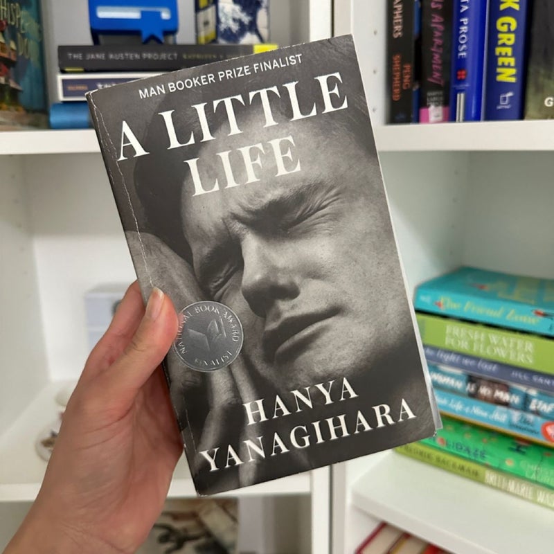 A Little Life