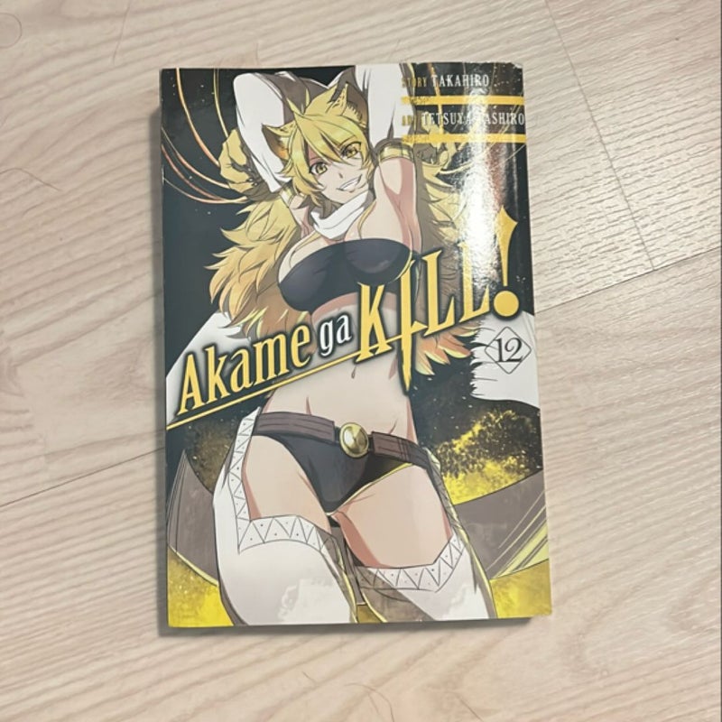 Akame Ga KILL!, Vol. 12