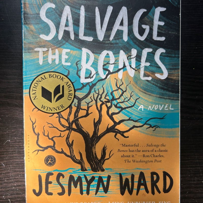 Salvage the Bones