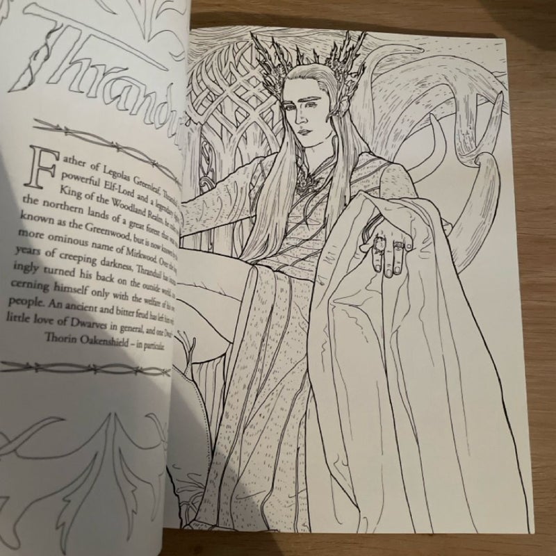 The Hobbit Movie Trilogy: Heroes & Villains Coloring Book