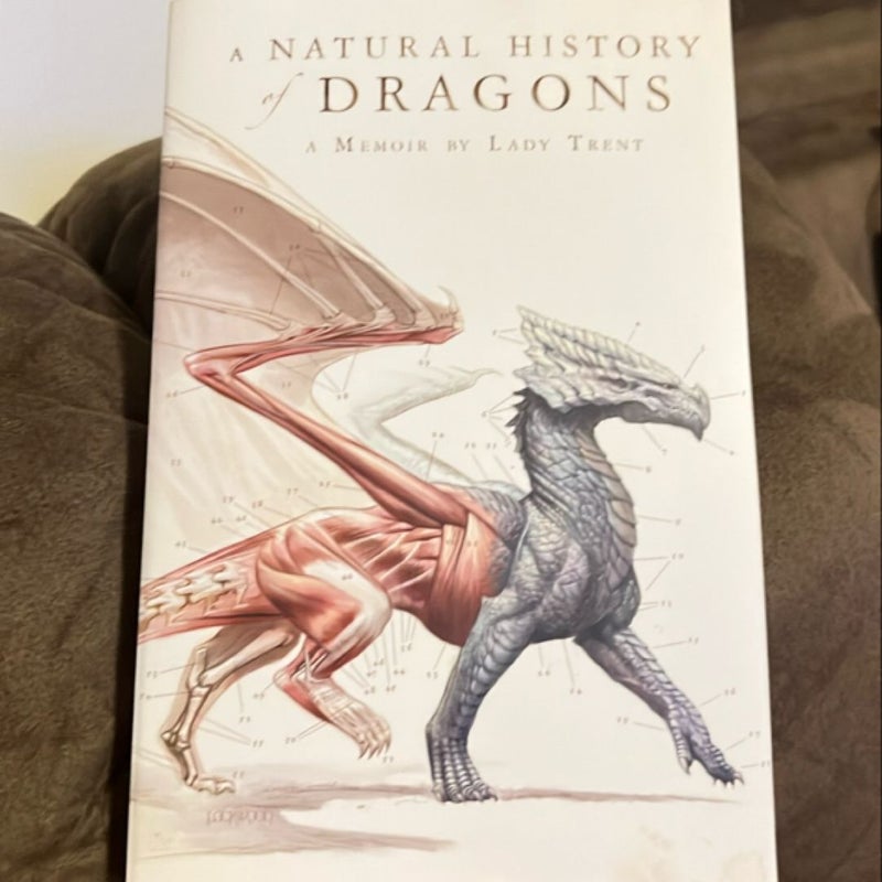 A Natural History of Dragons