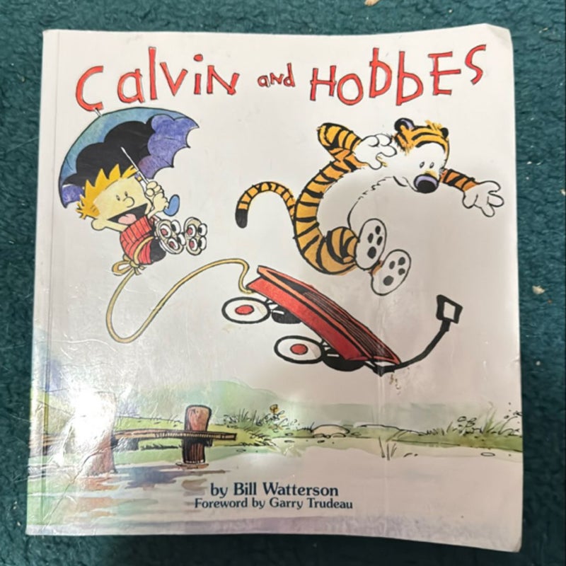 Calvin and Hobbes