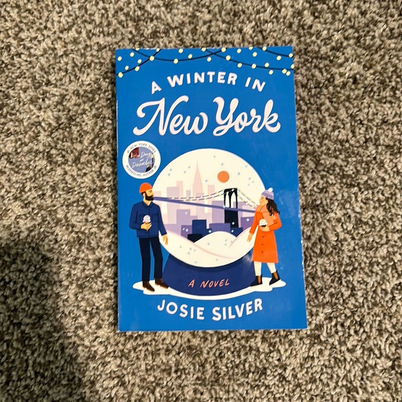 A Winter in New York