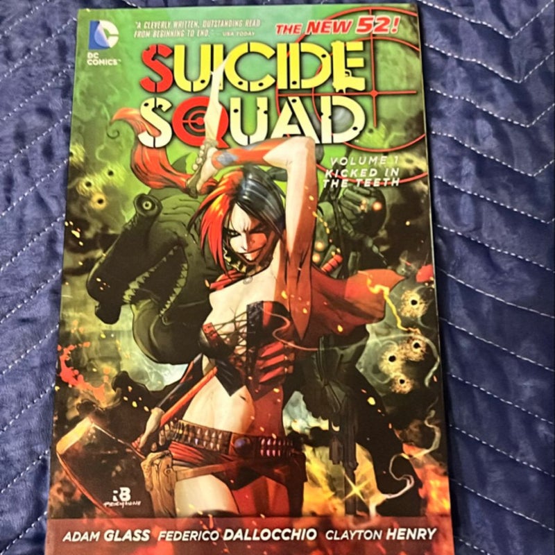 Suicide Squad Vol. 1: Kicked in the Teeth (the New 52)