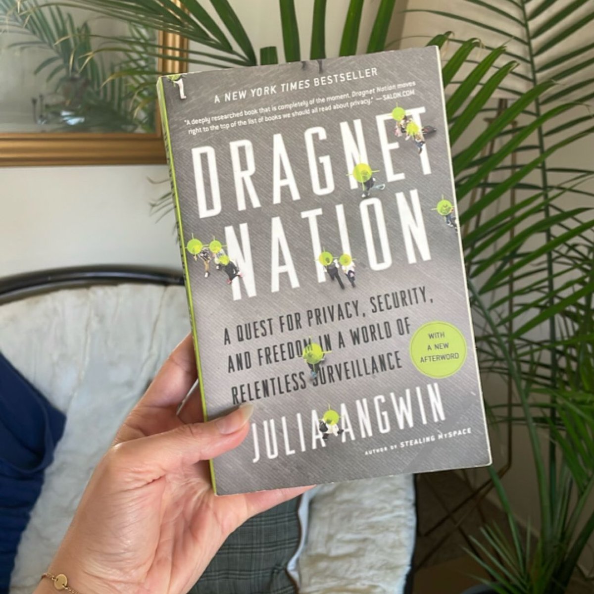 Dragnet Nation by Julia Angwin