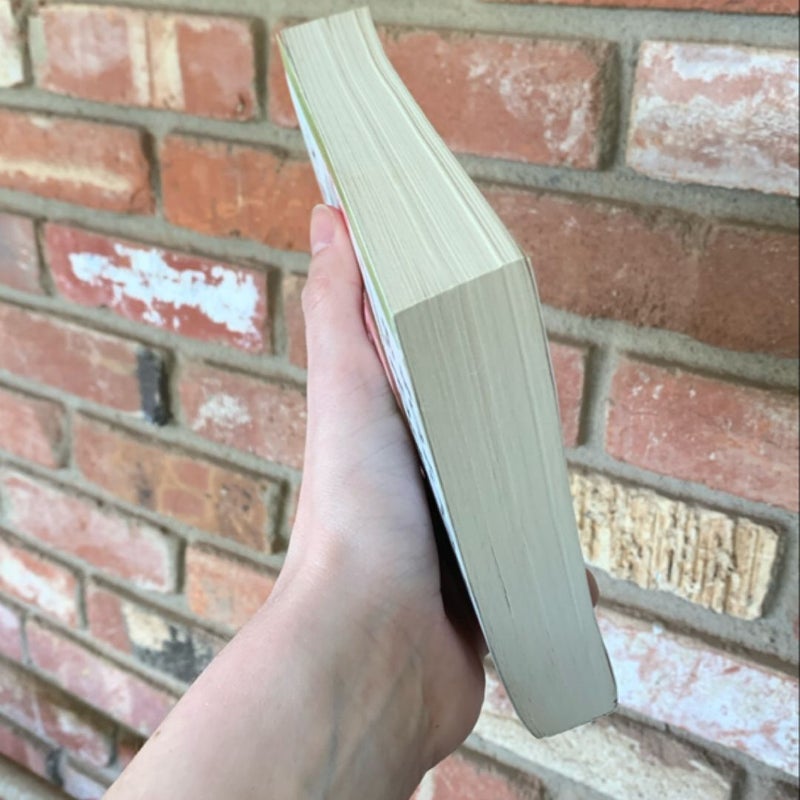 The Husband's Secret