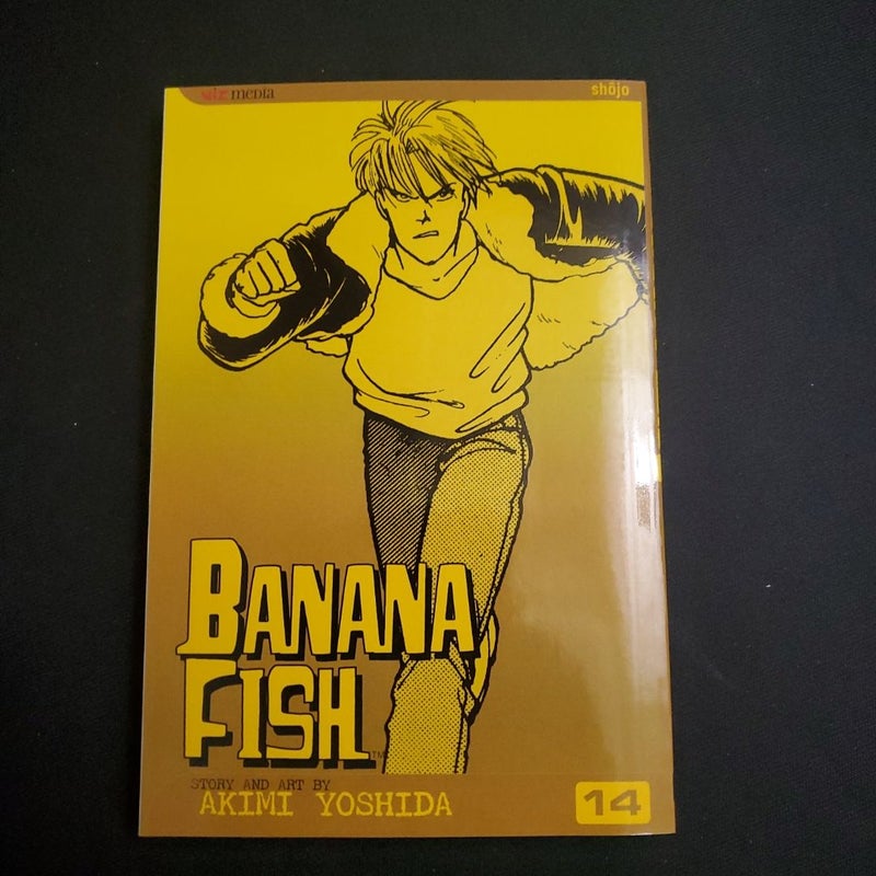 Banana Fish, Vol. 14