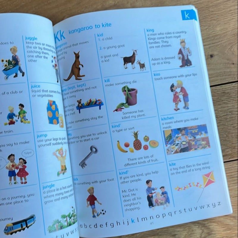 The Usborne Picture Dictionary