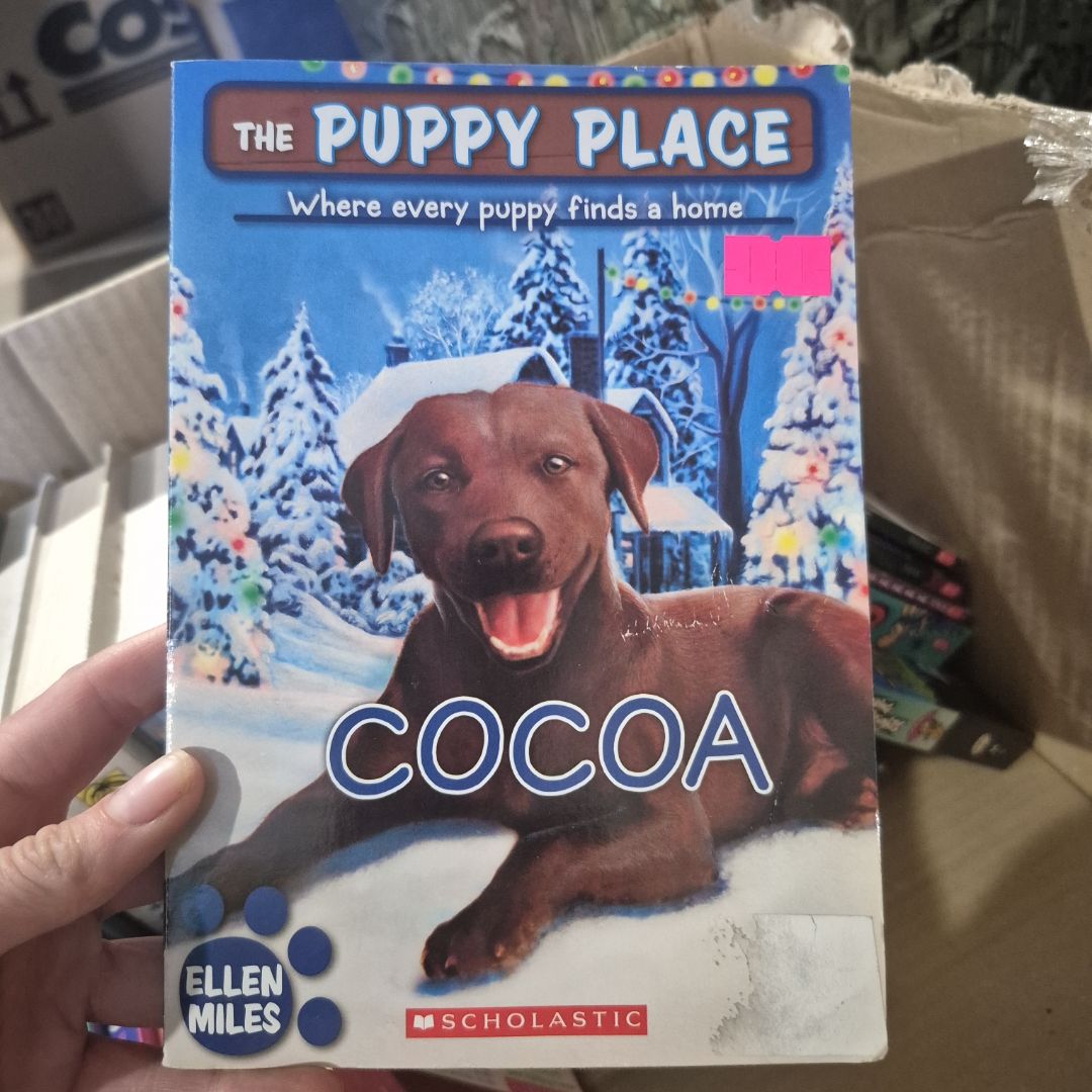 Cocoa