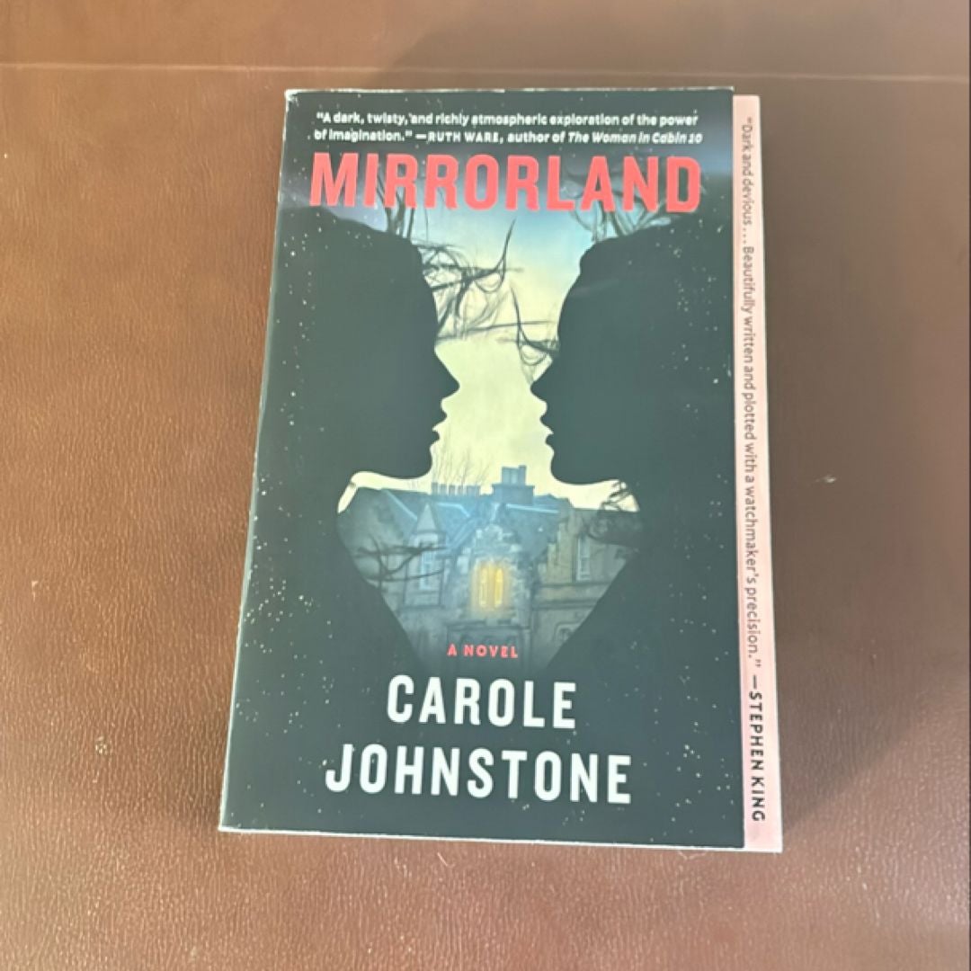 Mirrorland