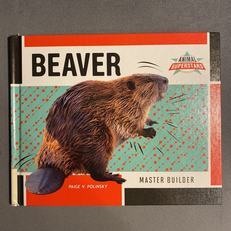 Beaver