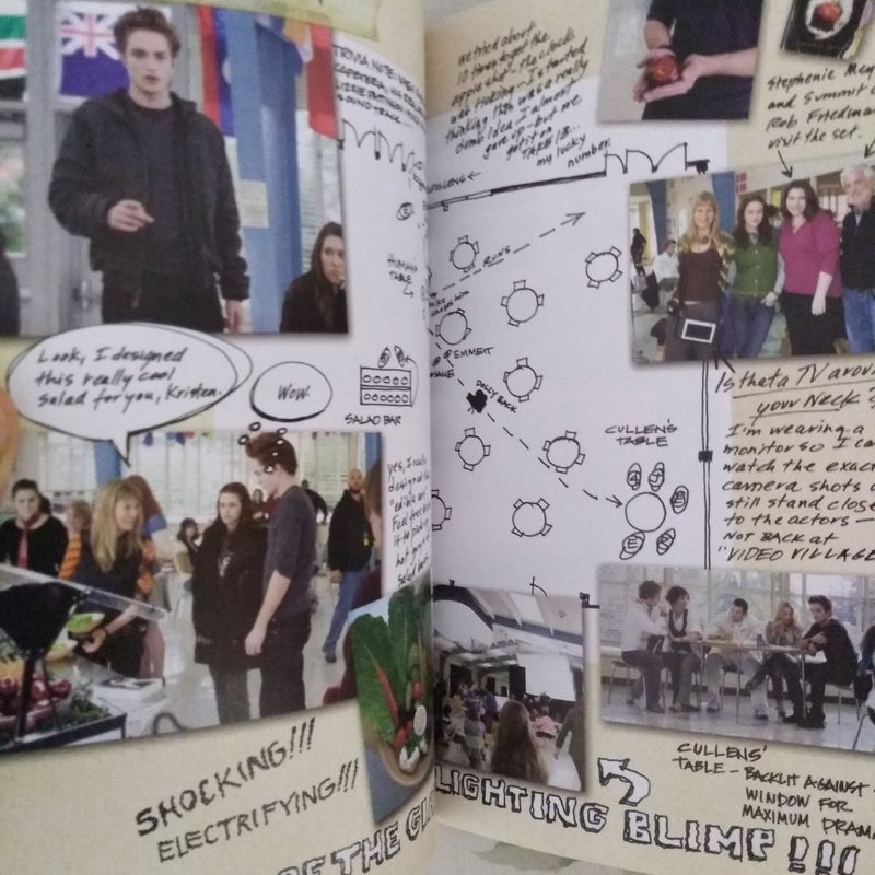 Twilight: Director's Notebook