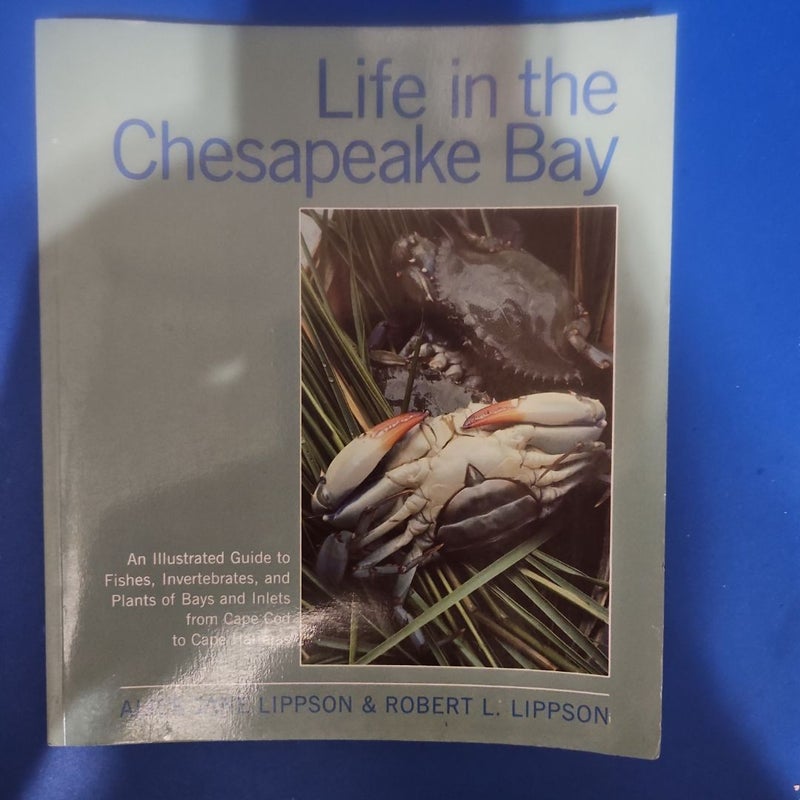 Life in the Chesapeake Bay