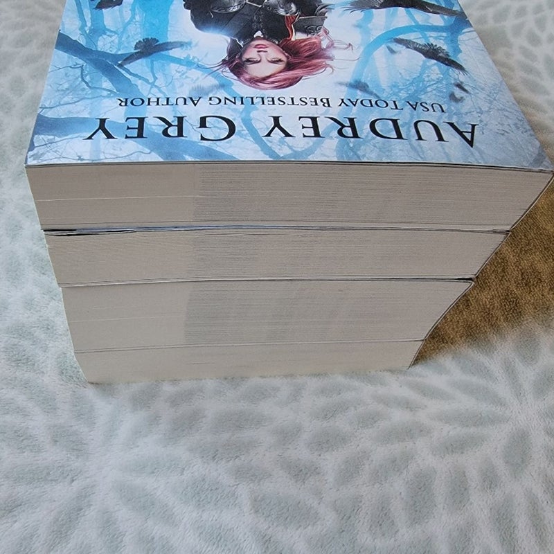 A Kingdom of Runes Series by Audrey Grey Fantasy Romance Books Novel Bundle Lot
