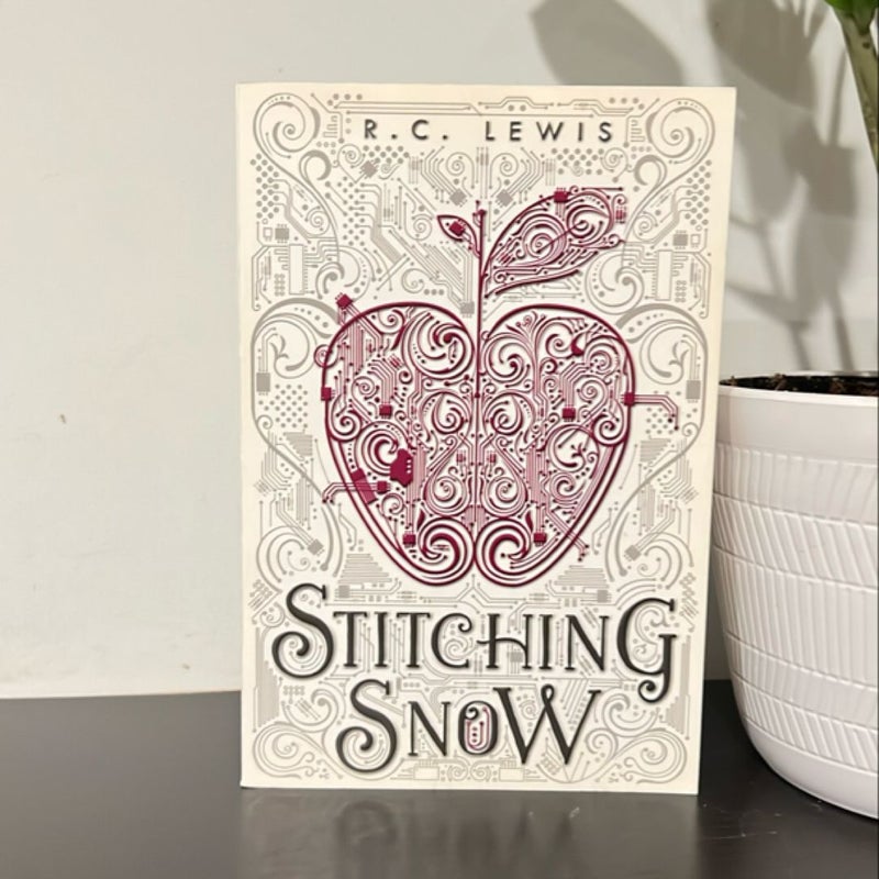 Stitching Snow