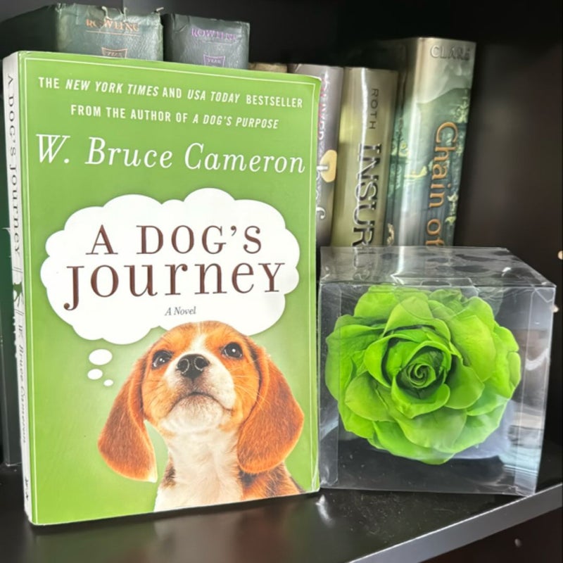 A Dog's Journey