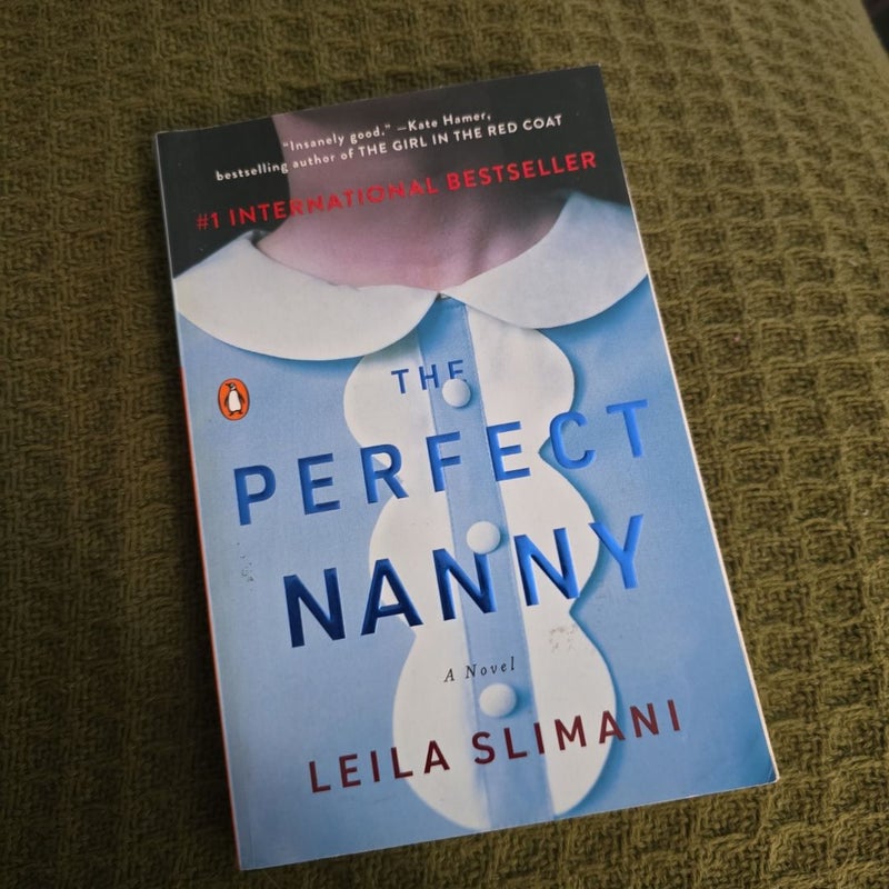 The Perfect Nanny