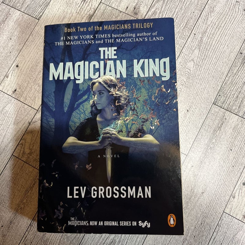 The Magician King (TV Tie-In)