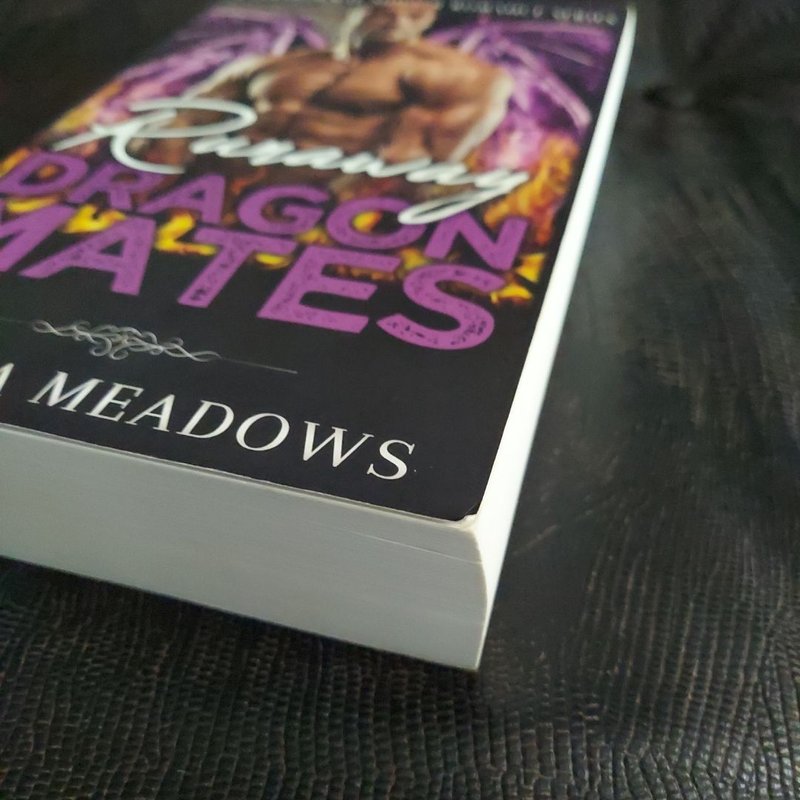 Runaway Dragon Mates: (a Paranormal Shifter Romance Series) READ DESCRIPTION 