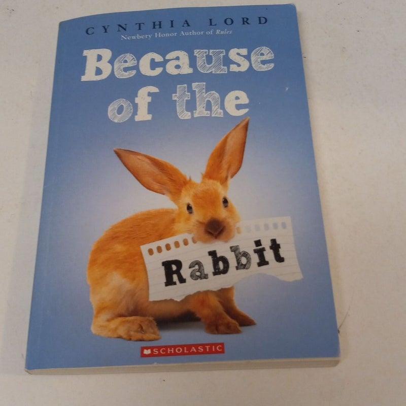 Because of the Rabbit