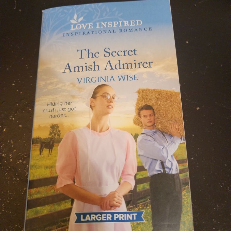 The Secret Amish Admirer