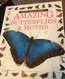 Amazing Butterflies and Moths