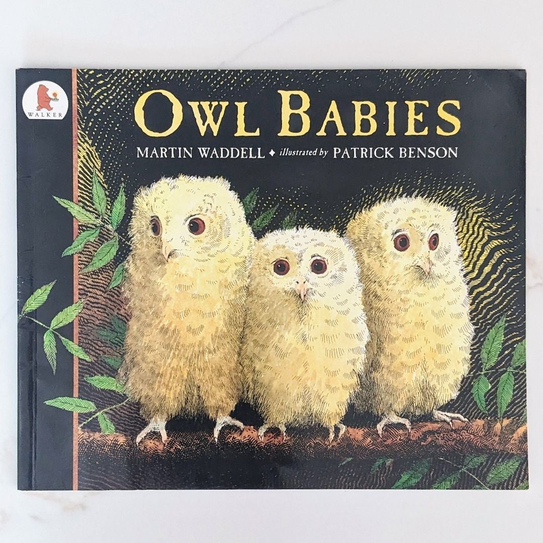 Owl Babies