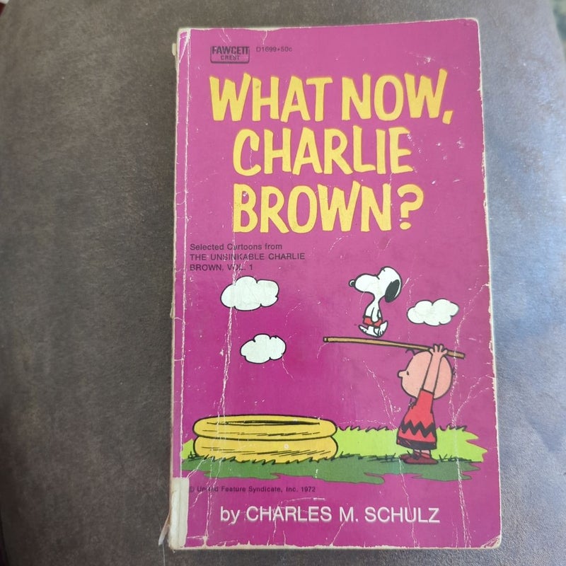 What Now, Charlie Brown?