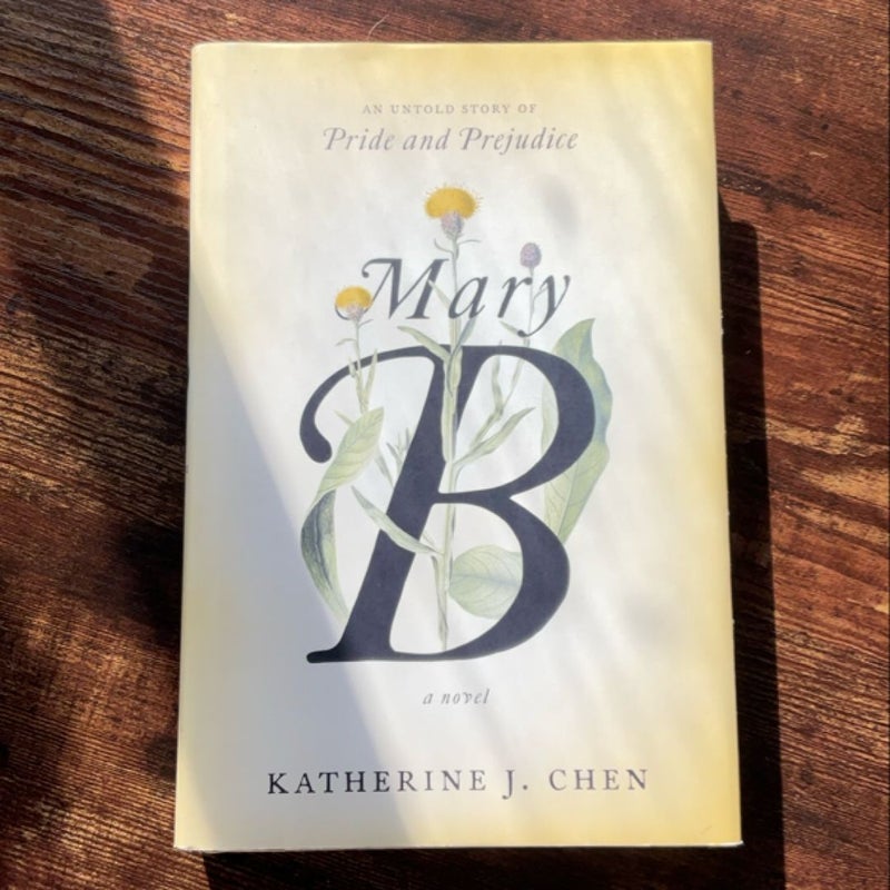 Mary B: a Novel