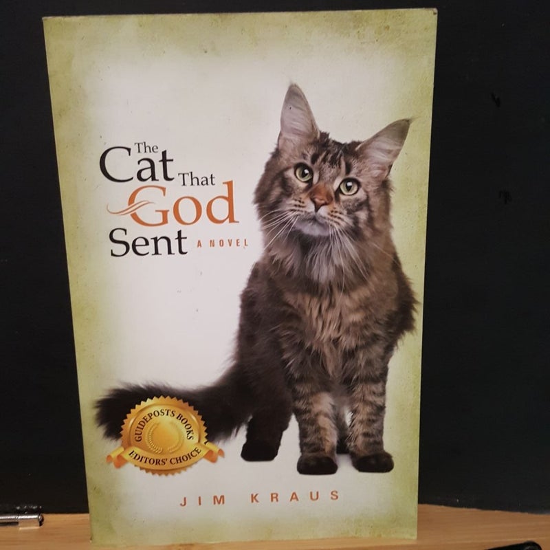 The Cat That God Sent