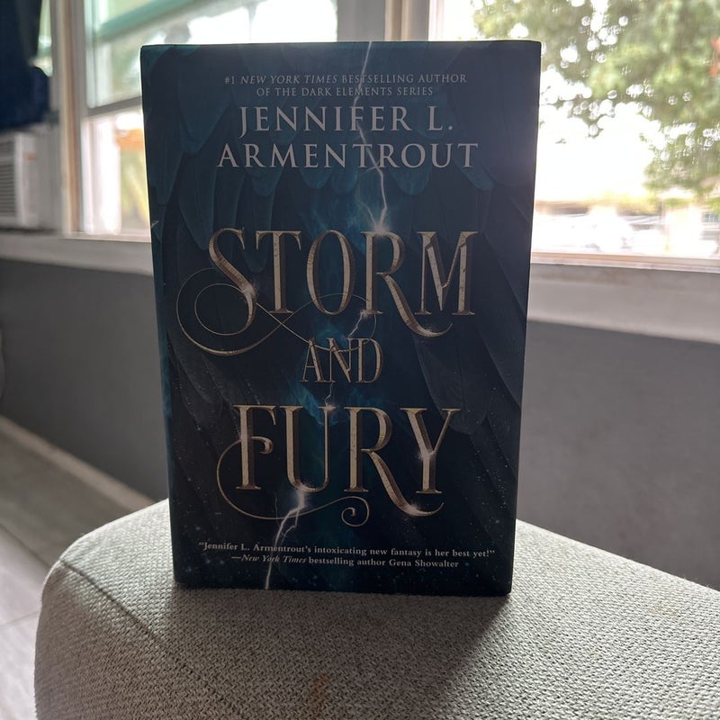 Storm and Fury