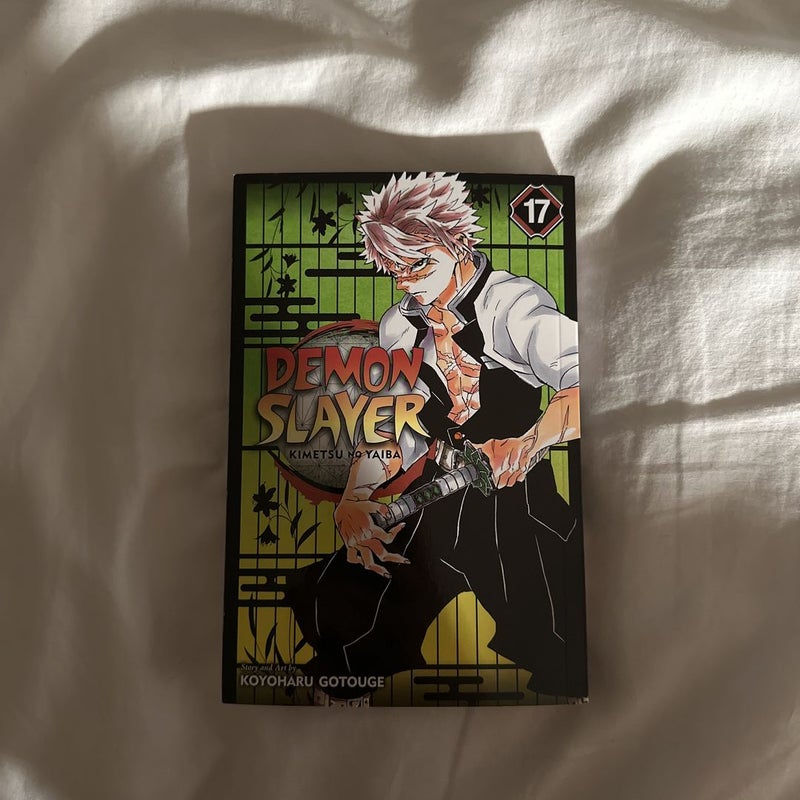 Demon Slayer: Kimetsu No Yaiba, Vol. 17