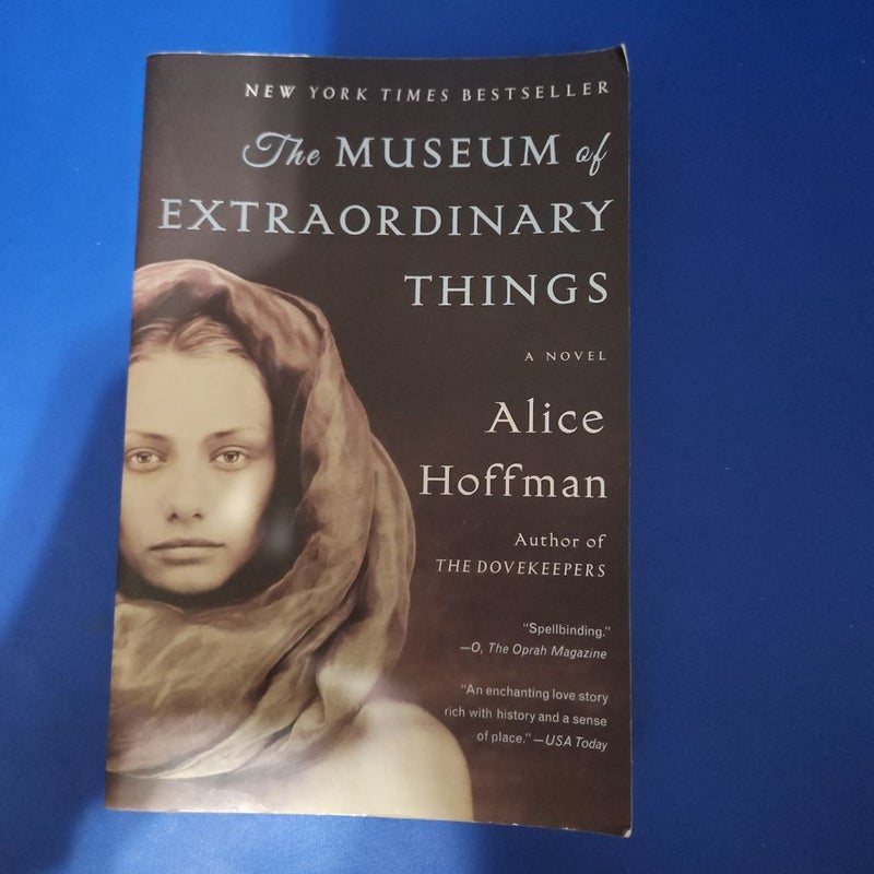 The Museum of Extraordinary Things