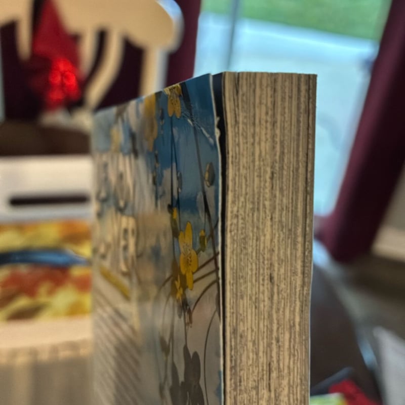 Demon Slayer Complete Box Set