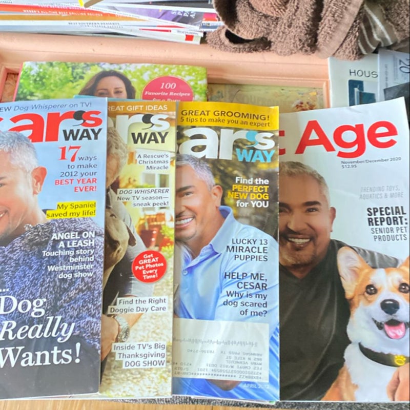 Cesar Millan Magazine Bundle