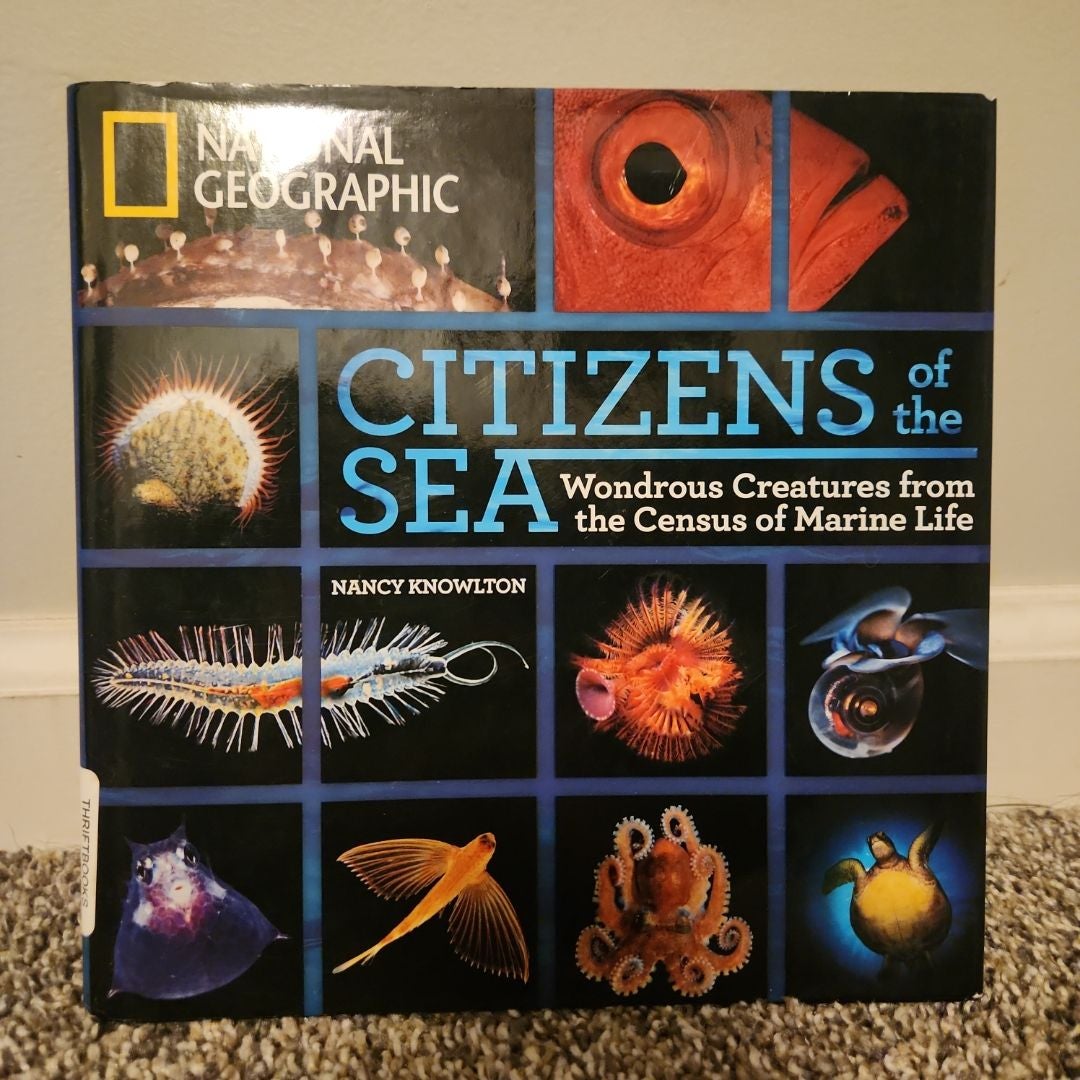 Citizens of the Sea